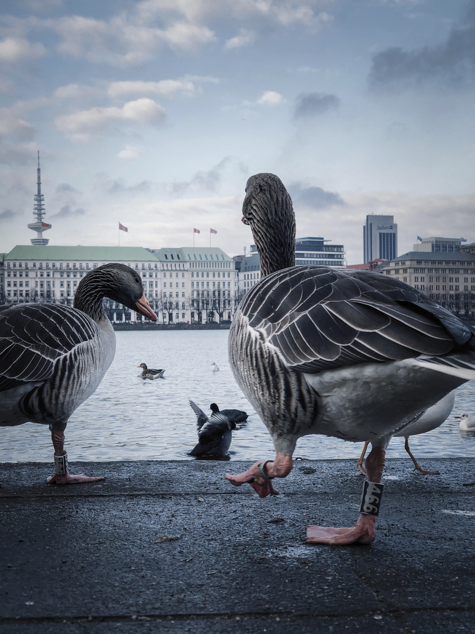 Wasserfontänen, Kaufhäuser und Touristenboote – Hamburgs Binnenalster